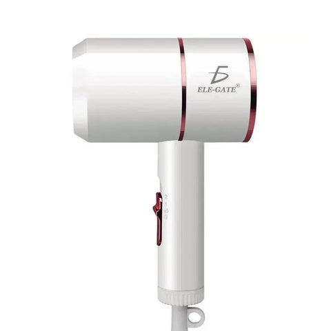 Professional Portable Travel Hair Dryer
