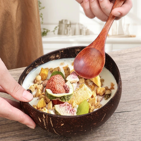 Natural Coconut Shell Bowls