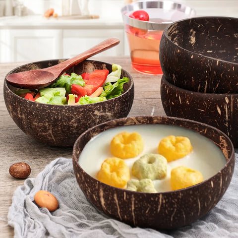 Natural Coconut Shell Bowls