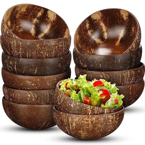 Natural Coconut Shell Bowls