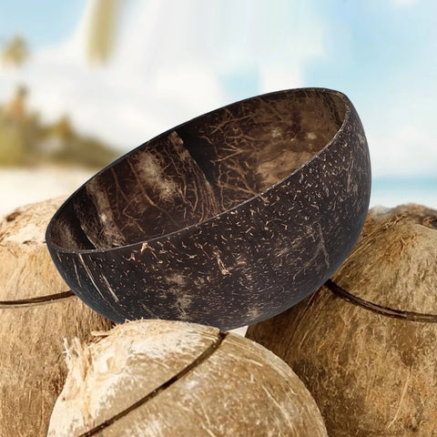 Natural Coconut Shell Bowls