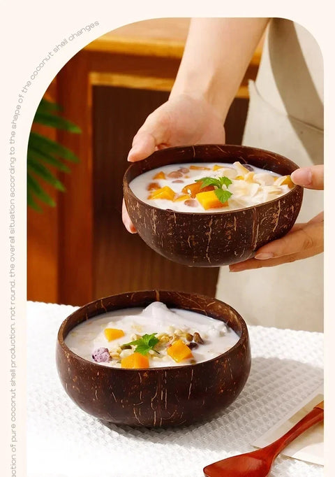 Natural Coconut Shell Bowls