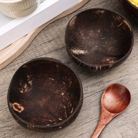 Natural Coconut Shell Bowls